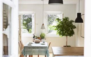 Bright sunny dining room with a small dining table and a potted plant in the corner