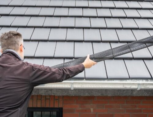 Get Ready for Fall: The Essential Guide To Preparing Your Plumbing System