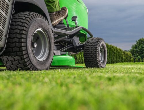 How to Save on Heavy-Duty Lawn Care