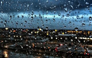 Rainy Seattle neighborhood street lined with homes and umbrellas, symbolizing the local winter real estate season